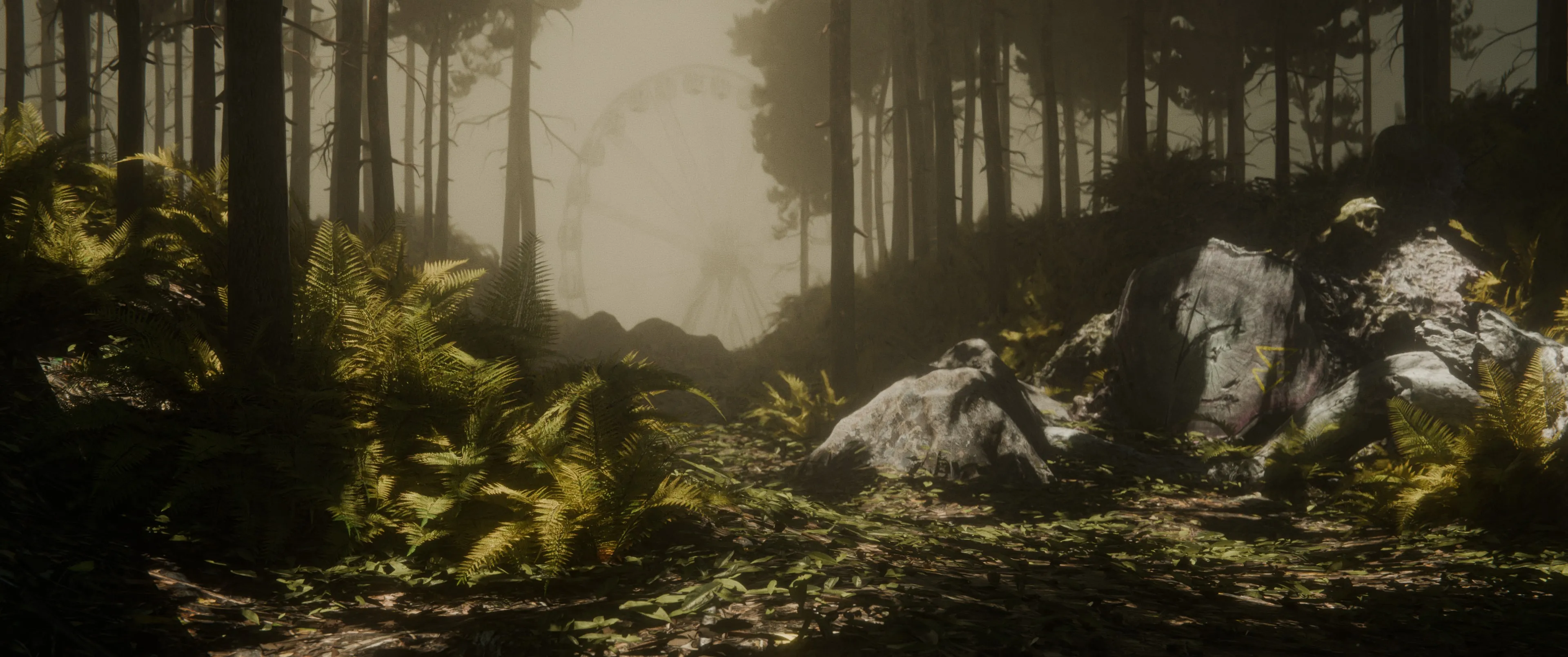 Daylight test