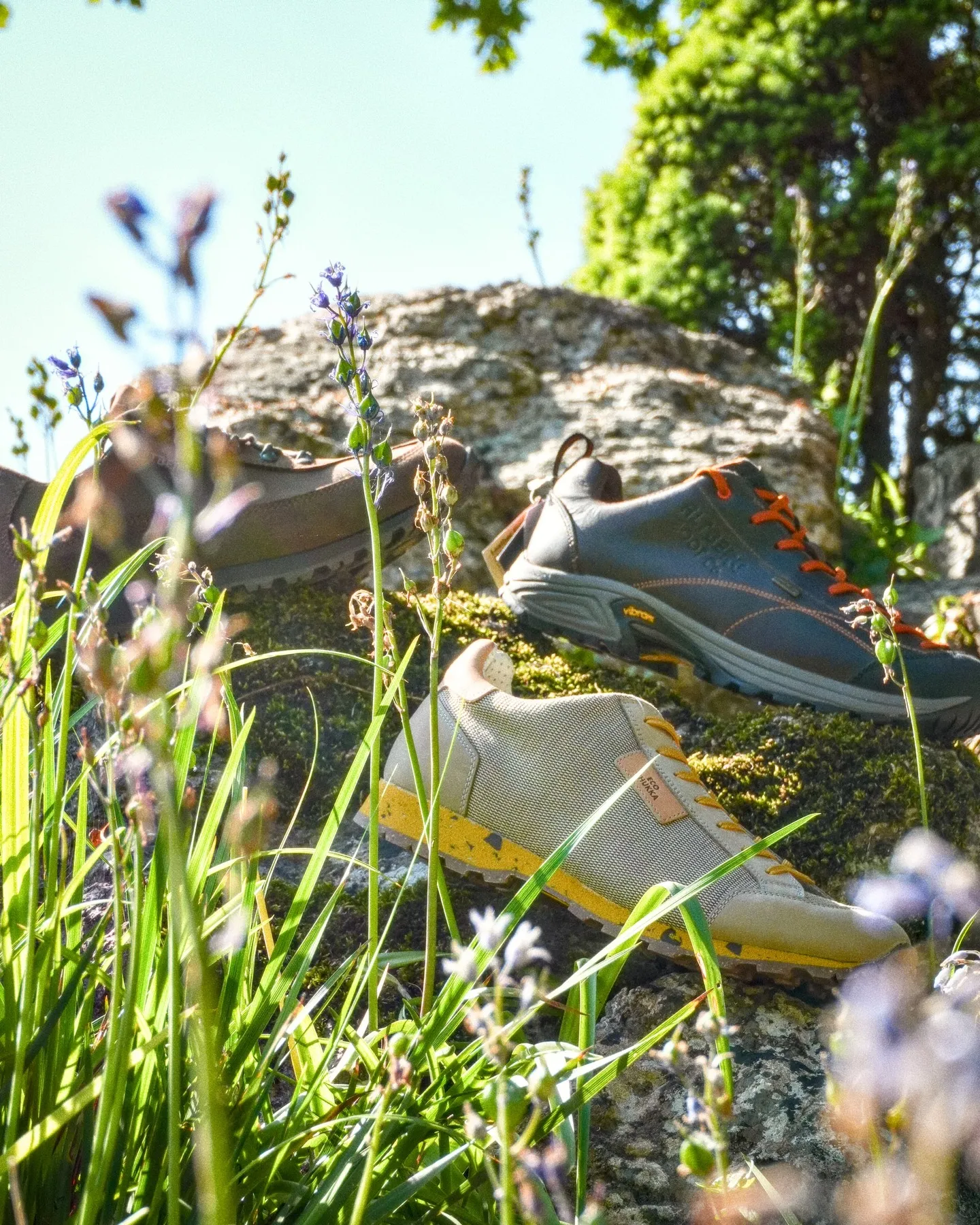 Altberg summer selection photoshoot variant 2