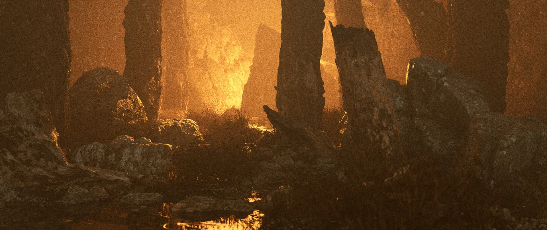 Forest fire Forest fire